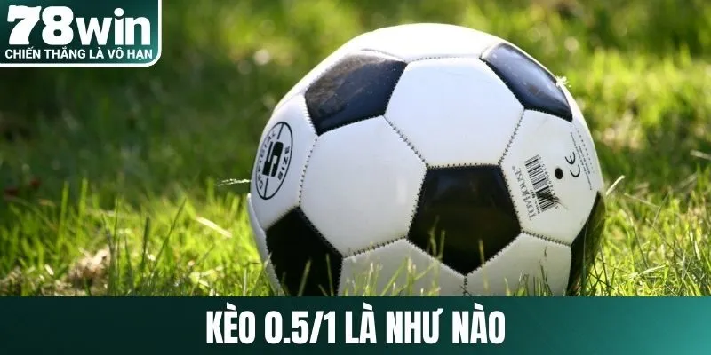 kèo 0.5/1 là như thế nào