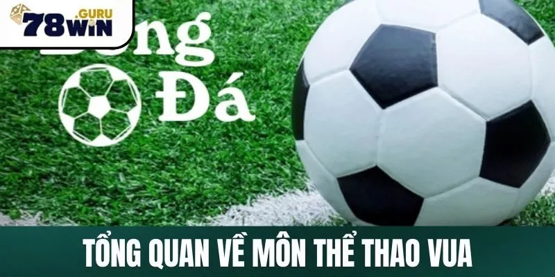 Tổng quan về môn thể thao vua